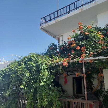 Ampelos Andros Батси Экстерьер фото